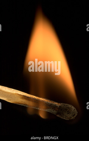 Nahaufnahme des brennenden Streichholz Sicherheit, isoliert auf schwarz Stockfoto