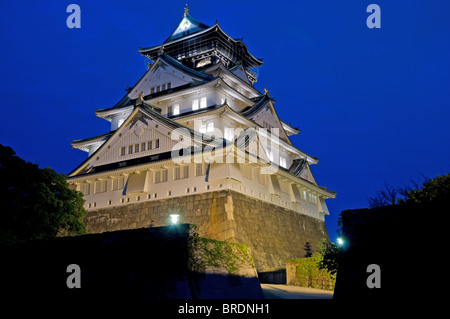 Burg von Osaka Stockfoto