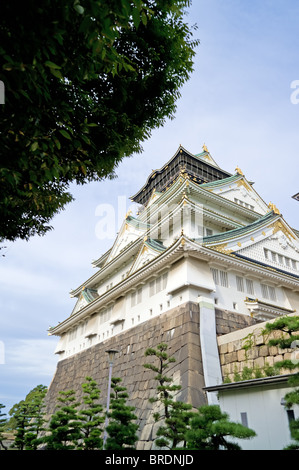 Burg von Osaka Stockfoto