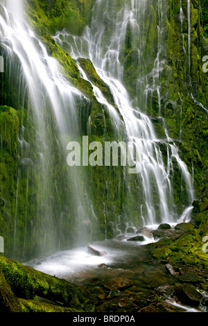 Oregons Lower Proxy Falls schwappt über Moos bedeckt Basalt und in die drei Schwestern Wildnis. Stockfoto