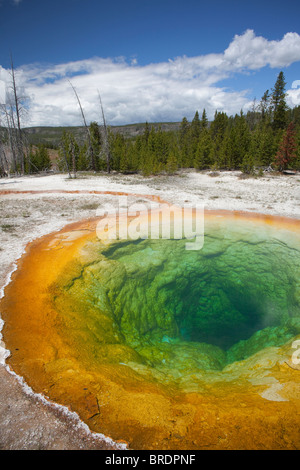 Morning Glory Pool, Yellowstone-Nationalpark Stockfoto