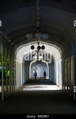 Überdachte Fußgängerzone Arkade mit den Park Springs in Vichy (Frankreich). Galerie découverte du Parc des Quellen de Vichy (Frankreich). Stockfoto