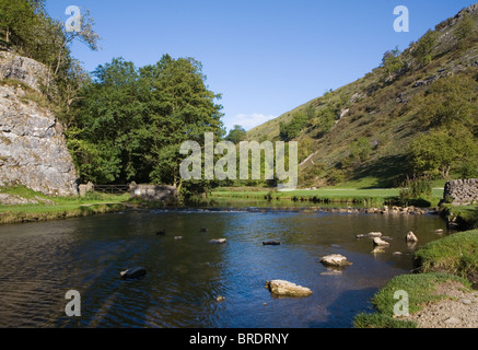 Fluss Dove, Dovedale, Derbyshire, England UK Stockfoto