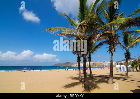 Playa Canteras in Las Palmas, Gran Canaria, Kanarische Inseln, Spanien Stockfoto