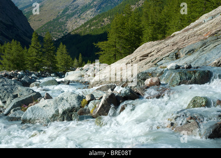 Details zum Fluss Vispa - Saastal - Wallis - Alpen - Schweiz - Europa Stockfoto