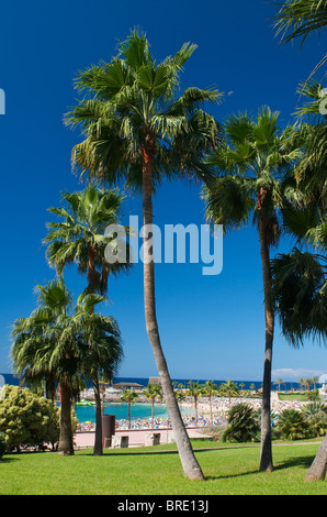 Playa Amadores in Puerto Rico, Gran Canaria, Kanarische Inseln, Spanien Stockfoto