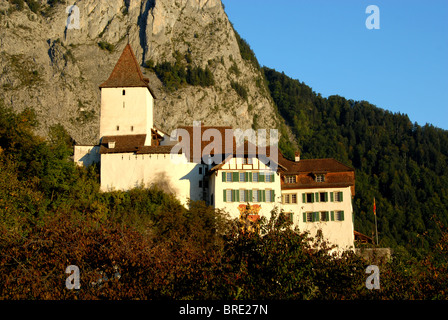 Burg und Stadt Wimmis, Berner Oberland, Schweiz Stockfoto