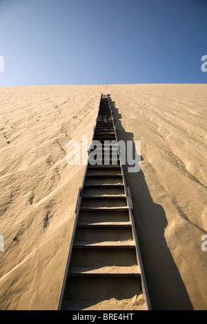 Treppen in die Düne von Pyla, Dune du Pilat, größte Düne Europas an der Atlantikküste in der Nähe von Arcachon, Departement Gironde Stockfoto