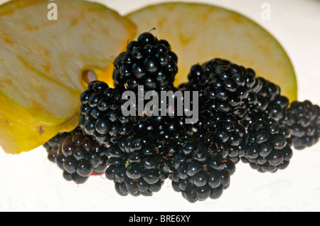 Brombeeren sind eine der populärsten Hecke Früchte im Vereinigten Königreich Stockfoto