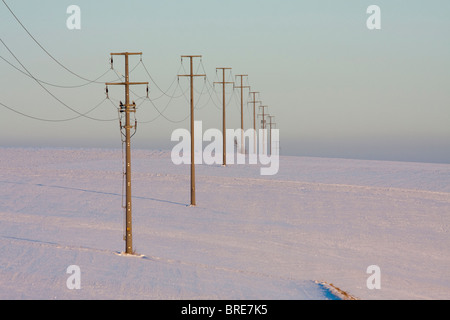 Strommasten im Hegau, Landkreis Konstanz, Baden-Württemberg, Deutschland, Europa Stockfoto