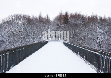 Verschneite Blick entlang Hownsgill Viadukt in der Nähe von Moorside, County Durham, Großbritannien. Der Wanderweg führt in ein Stück Wald. Stockfoto