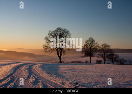 Sonnenuntergang im Hegau, Landkreis Konstanz, Baden-Württemberg, Deutschland, Europa Stockfoto