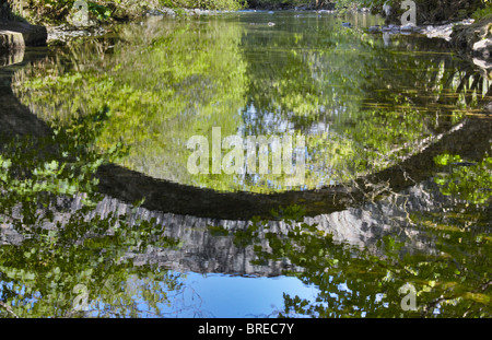 Neue Brücke über den Fluss Derwent bei Rosthwaite in Borrowdale, Nationalpark Lake District, Cumbria Stockfoto