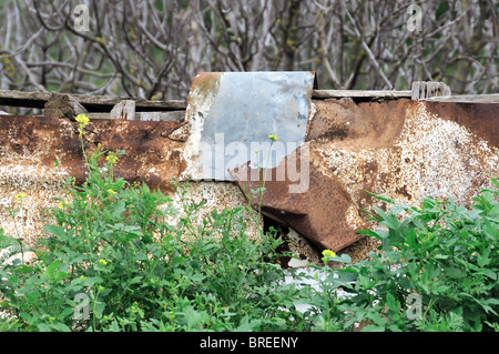 Rostigen Metallzaun versteckt in der Natur. Zusammenfassung Hintergrund. Stockfoto