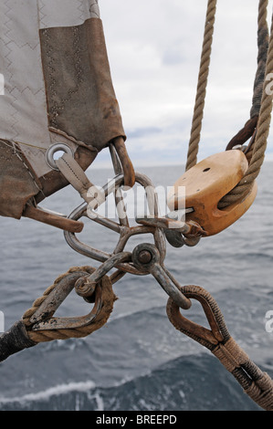 Tall Ships Race 2010 zwischen Kristiansand und Hartlepool an Bord der Christian Radich Stockfoto