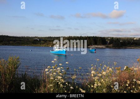 Ankern, Angeln, Boot und Wilde Blumen am unteren Prospect, Atlantik, Kanada, Nordamerika. Foto: Willy Matheisl Stockfoto