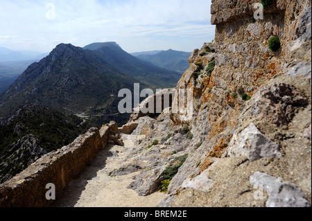 Queribus Burg in Cucugnan, Land der Katharer, Aude, Languedoc-Roussillon, Frankreich Stockfoto