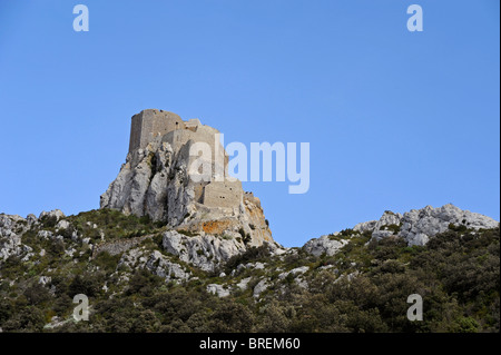 Queribus Burg in Cucugnan, Land der Katharer, Aude, Languedoc-Roussillon, Frankreich Stockfoto