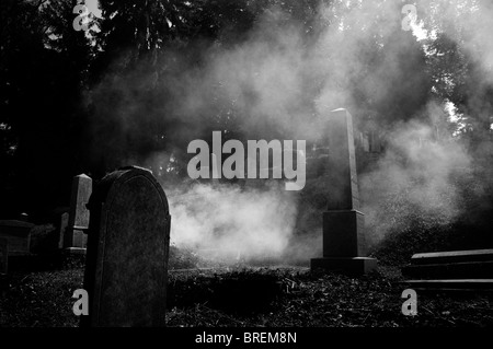 Rumänien - Siebenbürgen, Sighişoara Friedhof. Dampft zwischen den Gräbern Stockfoto