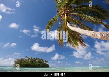 Rarotonga, Cook-Inseln Stockfoto