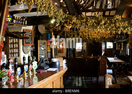 Die Royal Standard Pub in der Nähe von London. Die Kneipe hat eine traditionelle siebzehnten Jahrhundert Thema. Stockfoto