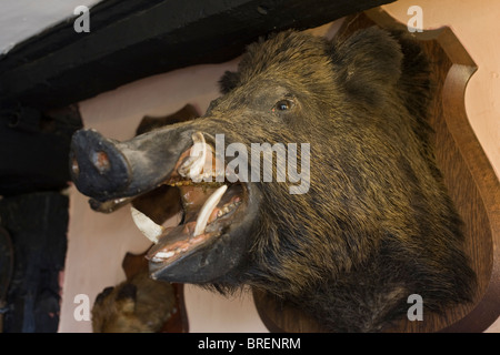 Die Royal Standard Pub in der Nähe von London. Die Kneipe hat eine traditionelle siebzehnten Jahrhundert Thema. Wildschwein Kopf Stockfoto