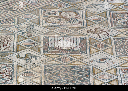 Mosaik Boden auf die römischen Ruinen von Jerash, Jordanien, Naher Osten. Stockfoto