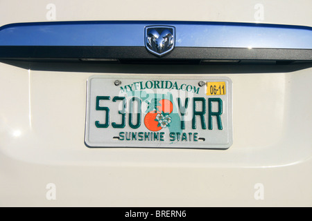 Florida License Plate, Kennzeichen. Florida Sunshine State Kennzeichen Stockfoto, Bild ...