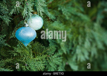 Weihnachtsschmuck in einen echten Weihnachtsbaum mit vielen textfreiraum hängen Stockfoto