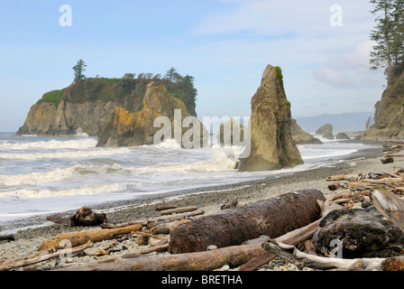 Felsformationen und Treibholz an der Pazifikküste, Ruby Beach, Olympic Halbinsel, Washington, USA Stockfoto