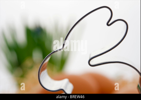 Bunny 08/15 vor der Eier Stockfoto