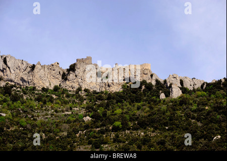 Burg Peyrepertuse Duilhac, Land der Katharer, Aude, Languedoc-Roussillon, Frankreich Stockfoto