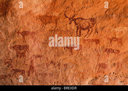 Gemalt von heimischen Kühen, Felskunst im Akakus Gebirge, Wüste Sahara, Libyen Stockfoto