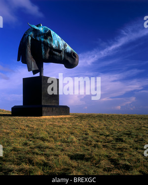 Nic Fiddian-Green 28 ft Pferd Kopf monumentale Statue "Artemis" auf dem Display auf der Trundle (St Roche Hill), Goodwood Stockfoto