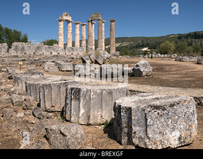 Säulen des Zeustempels (einige vor kurzem rekonstruiert) am alten Nemea, Korinthia, Peloponnes, Griechenland Stockfoto