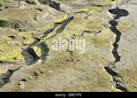 Flussbett am Fuße des Vulkan Mount St. Helens, Detail, erstellt von der Eruption 1980, Mount St. Helens Volcanic National Stockfoto