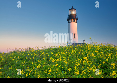 Yaquina Leuchtturm mit Gelbsenf und Weidenröschen. Yaquina Head, Oregon Stockfoto