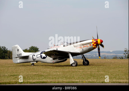 Nooky Booky IV, North American Aviation Mustang P - 51D, Flugplatz de Cerny - La Ferte-Alais, Amicale Jean-Baptiste Salis in der Nähe von Paris Stockfoto