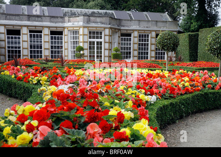 Mount Edgcumbe Country Park, Landschaftspark, Plymouth, Cornwall, Südengland, Großbritannien, Europa Stockfoto