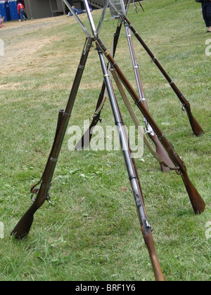 Unions-Armee Gewehre, gestapelt in Camp, Civil War Reenactment der Schlacht, Port Gamble, WA Stockfoto