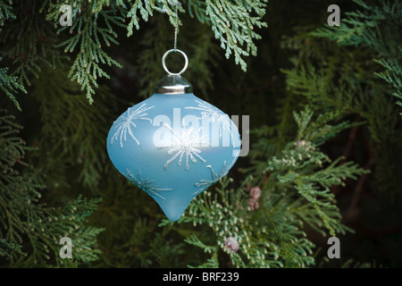 Nahaufnahme der Weihnachtsdekoration in einen echten Weihnachtsbaum hängen Stockfoto