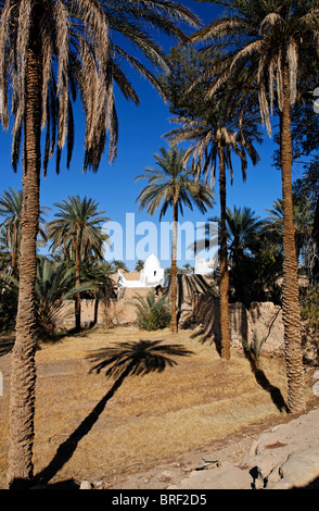 Palmerie und Moschee in Ghadames Altstadt, Libyen Stockfoto