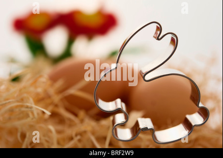 Bunny 08/15 vor der Eier in ein Nest aus Holzwolle Stockfoto