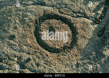 Petroglyph, Mauna Loa Petroglyph Trail Stockfoto