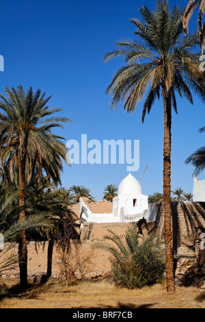 Palmerie und Moschee in Ghadames Altstadt, Libyen Stockfoto
