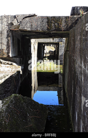 Das Blockhaus in Eperlecques, ein riesiger Betonbunker ist der V2-Startplatz befindet sich in der Foret d'Eperlecques Nord Frankreich. Stockfoto