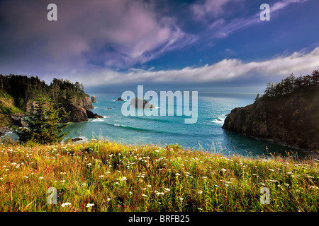 Wildblumen und Bucht. Samuel H. Boardman State Scenic Korridor. Oregon Stockfoto