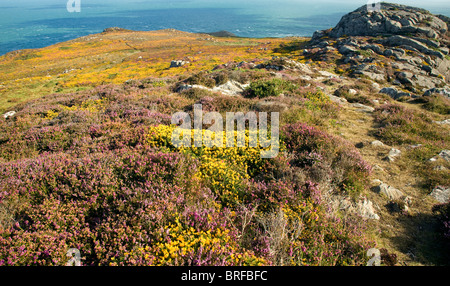 Carn Llidi Tor nach Nord Westen Str. Davids Kopf, Pembrokeshire, Wales Stockfoto