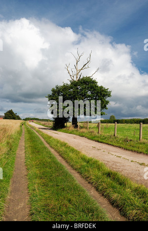 Bauernhof Spur Shipley Land Park England uk Stockfoto