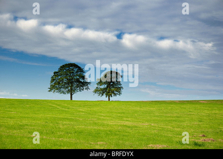 Shipley Land Park England uk Stockfoto